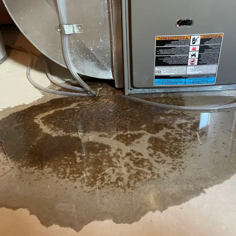 Pipe Burst and Leak Restoration in Westbrook, ME