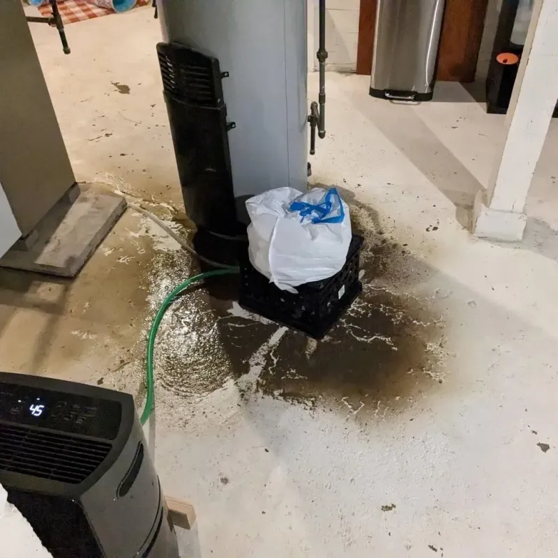 Sewage Backup Cleanup Service in Westbrook, ME